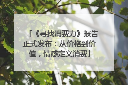《寻找消费力》报告正式发布：从价格到价值，情感定义消费
