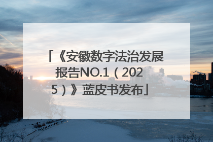 《安徽数字法治发展报告NO.1（2025）》蓝皮书发布