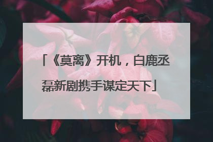 《莫离》开机，白鹿丞磊新剧携手谋定天下