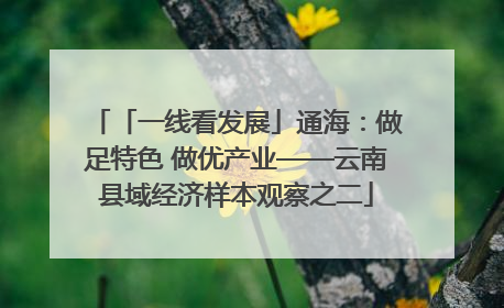 「一线看发展」通海：做足特色 做优产业——云南县域经济样本观察之二