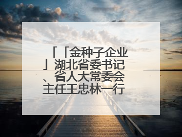 「金种子企业」湖北省委书记、省人大常委会主任王忠林一行到依瑞德调研