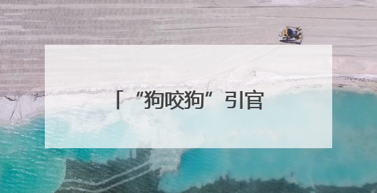“狗咬狗”引官司，狗主人屡次不牵狗绳担全责