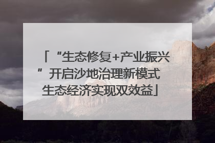 “生态修复+产业振兴”开启沙地治理新模式 生态经济实现双效益