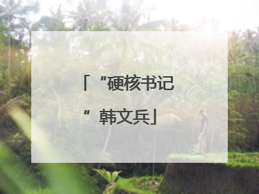 “硬核书记”韩文兵