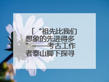 “祖先比我们想象的先进得多”——考古工作者泰山脚下探寻中华文明起源