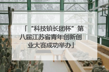 “科技镇长团杯”第八届江苏省青年创新创业大赛成功举办
