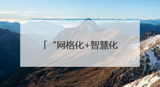 “网格化+智慧化”双轮驱动 柘城县全力护航小麦夏收