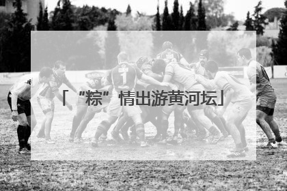 “粽”情出游黄河坛