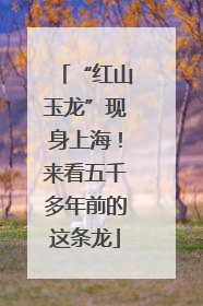 “红山玉龙”现身上海！来看五千多年前的这条龙