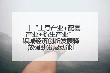 “主导产业+配套产业+衍生产业” 镇域经济创新发展释放强劲发展动能