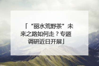 “丽水荒野茶”未来之路如何走？专题调研近日开展
