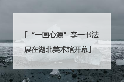 “一画心源”李一书法展在湖北美术馆开幕