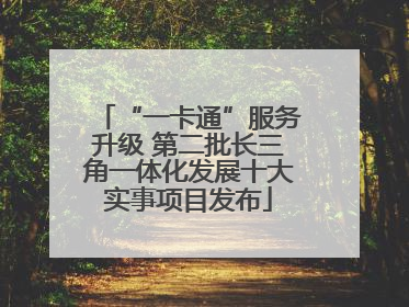 “一卡通”服务升级 第二批长三角一体化发展十大实事项目发布