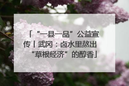“一县一品”公益宣传丨武冈：卤水里熬出“草根经济”的醇香