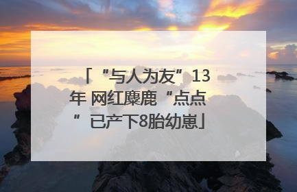 “与人为友”13年 网红麋鹿“点点”已产下8胎幼崽