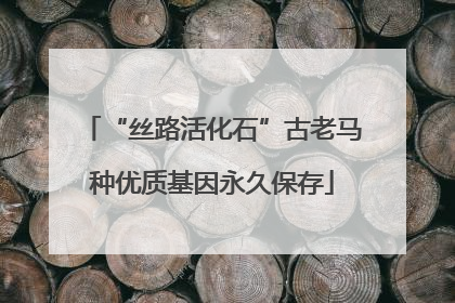 “丝路活化石”古老马种优质基因永久保存