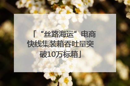“丝路海运”电商快线集装箱吞吐量突破10万标箱