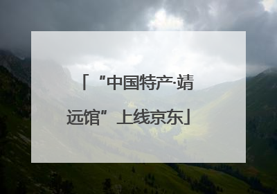 “中国特产·靖远馆”上线京东