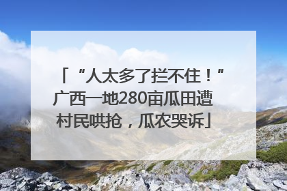 “人太多了拦不住！”广西一地280亩瓜田遭村民哄抢，瓜农哭诉