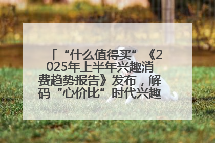 “什么值得买”《2025年上半年兴趣消费趋势报告》发布，解码“心价比”时代兴趣消费新范式