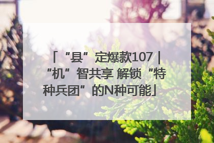 “县”定爆款107｜“机”智共享 解锁“特种兵团”的N种可能