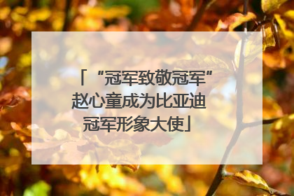 “冠军致敬冠军” 赵心童成为比亚迪冠军形象大使