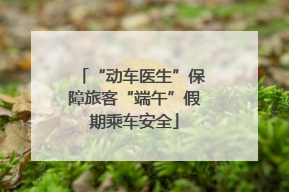 “动车医生”保障旅客“端午”假期乘车安全
