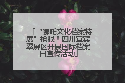 “哪吒文化档案特展”抢眼！四川宜宾翠屏区开展国际档案日宣传活动