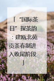 “国际茶日”探茶韵：建瓯北苑贡茶春制进入收尾阶段