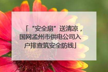 “安全扇”送清凉，国网孟州市供电公司入户排查筑安全防线