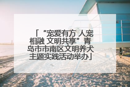 “宠爱有方 人宠相融 文明共享”青岛市市南区文明养犬主题实践活动举办
