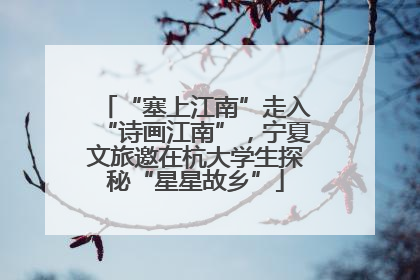 “塞上江南”走入“诗画江南”，宁夏文旅邀在杭大学生探秘“星星故乡”