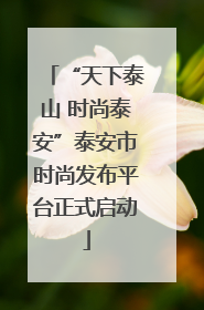 “天下泰山 时尚泰安”泰安市时尚发布平台正式启动