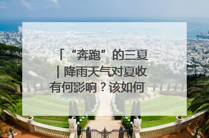 “奔跑”的三夏｜降雨天气对夏收有何影响？该如何防范？一文了解