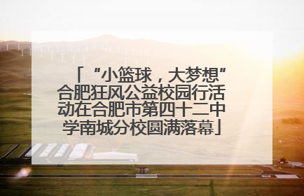 “小篮球，大梦想”合肥狂风公益校园行活动在合肥市第四十二中学南城分校圆满落幕