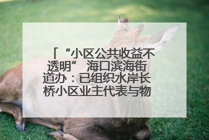 “小区公共收益不透明” 海口滨海街道办：已组织水岸长桥小区业主代表与物业进行座谈