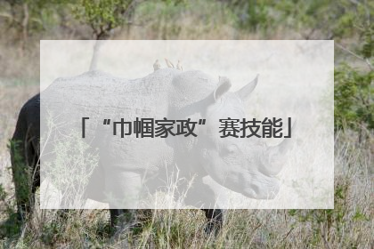 “巾帼家政”赛技能