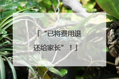 “已将费用退还给家长”！