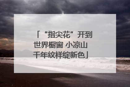 “指尖花”开到世界橱窗 小凉山千年纹样绽新色
