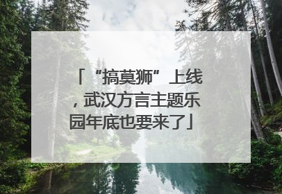 “搞莫狮”上线，武汉方言主题乐园年底也要来了