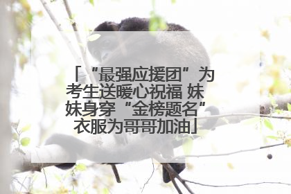 “最强应援团”为考生送暖心祝福 妹妹身穿“金榜题名”衣服为哥哥加油