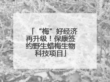 “梅”好经济再升级！保康签约野生蜡梅生物科技项目