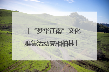 “梦华江南”文化雅集活动亮相柏林