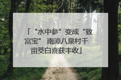 “水中参”变成“致富宝” 南漳八泉村千亩茭白喜获丰收