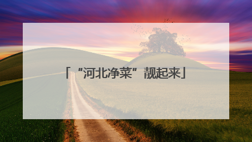 “河北净菜”靓起来