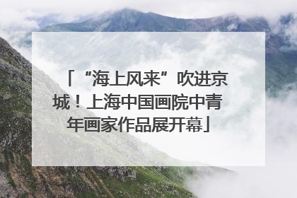 “海上风来”吹进京城！上海中国画院中青年画家作品展开幕