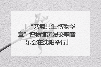 “艺境共生·博物华章”博物馆沉浸交响音乐会在沈阳举行