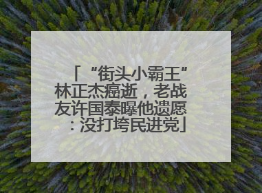 “街头小霸王”林正杰癌逝，老战友许国泰曝他遗愿：没打垮民进党