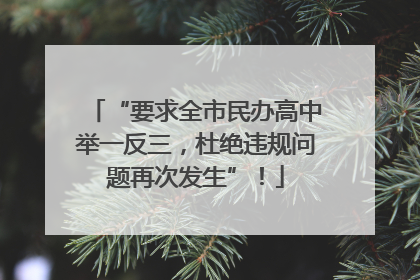 “要求全市民办高中举一反三，杜绝违规问题再次发生”！