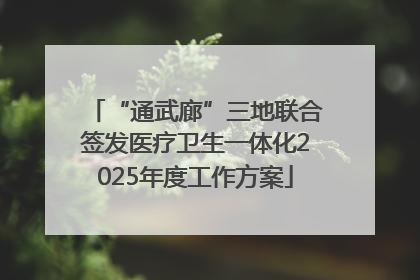 “通武廊”三地联合签发医疗卫生一体化2025年度工作方案